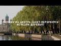 Почему из центра Санкт-Петербурга исчезли деревья?