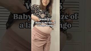 Week 23 pregnancy baby development #pregnancyweekbyweek