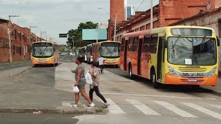 Licitação para ônibus em Piracicaba segue em impasse screenshot 2