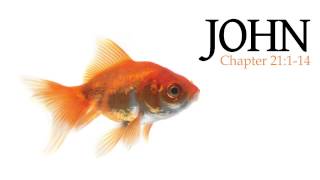 Verse by Verse - John 21:1-14