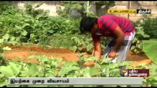 Trichy youth takes up organic farming in free time, gets good yield