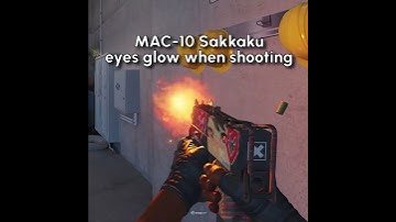 CS2 Mac-10 Sakkaku Hidden Detail
