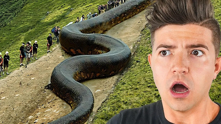 Most *IMPOSSIBLE* Things Found in the WORLD!