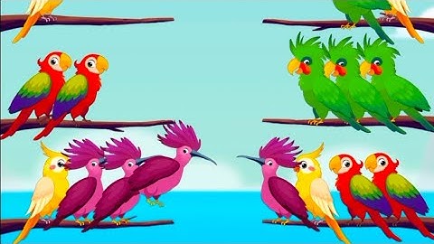 Bird sort puzzle game #subcribe #games #hkkbeast vs #mrbeast 
