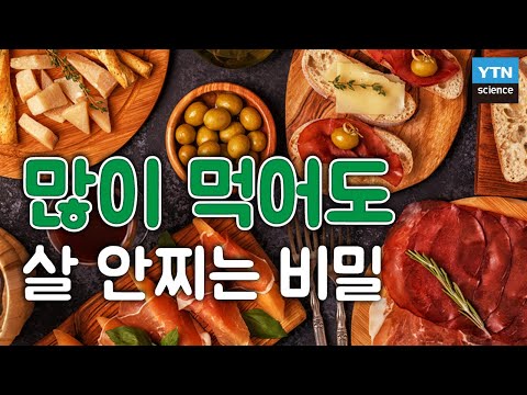 많이 먹어도 살 안찌는 비밀 / YTN 사이언스