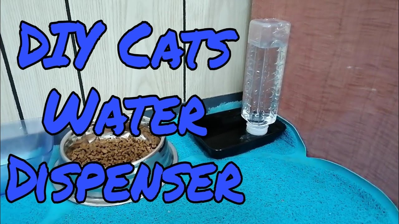 Diy Cats Water Dispenser