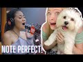 Vocal Coach Reacts: MORISSETTE AMON ‘Love You Still’ Live on The Wish Bus!
