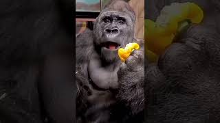 Baba Ben Seni̇n Hi̇ç