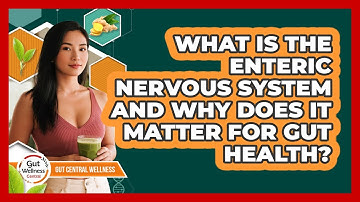 What Is The Enteric Nervous System And Why Does It Matter For Gut Health? - Gut Wellness Central