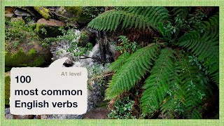 100 Most Common English Verbs A1 | Relaxing Australian Forest Ambience for Sleep or Study screenshot 1
