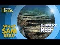 Shipwreck Reef | What Sam Sees