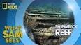 The Fascinating World of Shipwrecks ile ilgili video