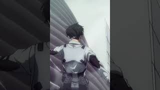 CURIOSIDADES DE LEVI ACKERMAN