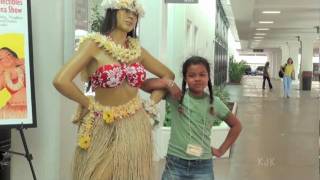 Hawaii Wiki Collectable Show March 2011