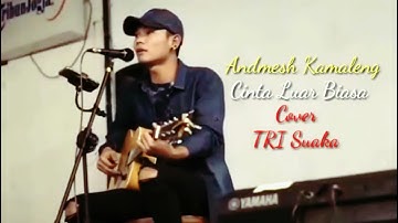 #AndmeshKamaleng #CintaLuarBiasa #Cover #TriSuaka