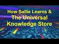 How sallie learns  the universal knowledge store