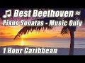 CLASSICAL MUSIC for Studying Reading Instrumental Piano Study Playlist Beethoven Background 1 Hour