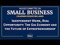 Independent Work, Real Opportunity: The Gig Economy and the Future of Entrepreneurship