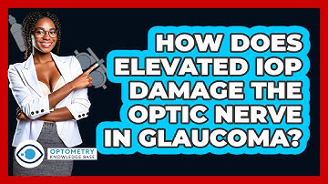 How Does Elevated IOP Damage The Optic Nerve In Glaucoma? - Optometry Knowledge Base