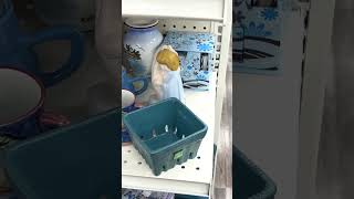 Anthropologie At Thrift Store  diy homedecor minimalist modern neutralhomedecor thrifting