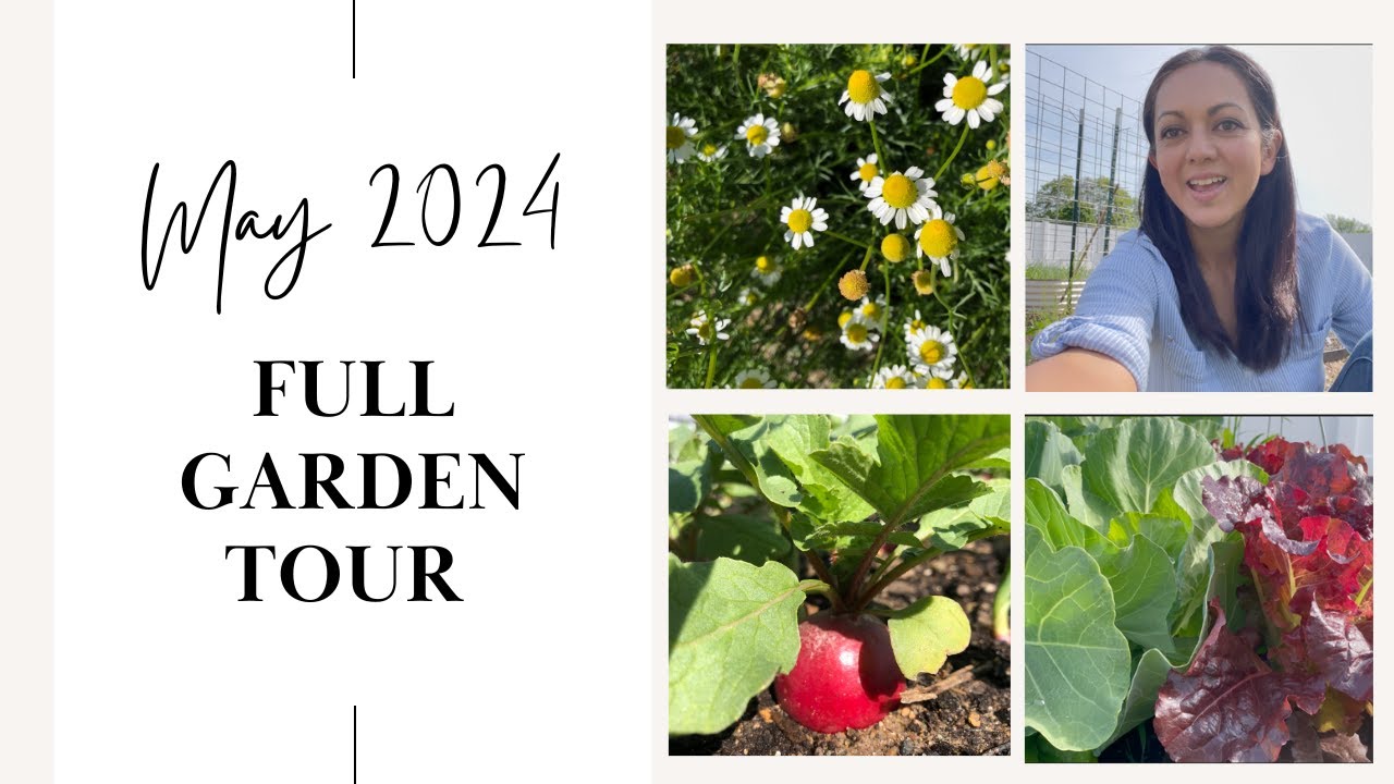 May garden tour 2024 | Zone 6b - YouTube