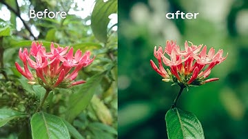 Flower mobile editing | blur image background | snapseed editing | light room color grading