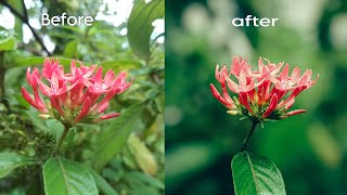 Flower mobile editing | blur image background | snapseed editing | light room color grading screenshot 4