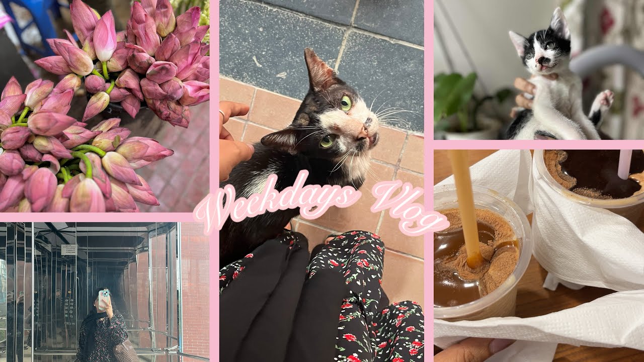 Back to the track 🎀🩰+ uni days 📚+ trying new makeup | nadiaafrinzeba