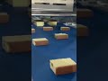 Wanlisonic Ultrasonic Cake Cutting Machine! Email:sales6@wanlisonic.com