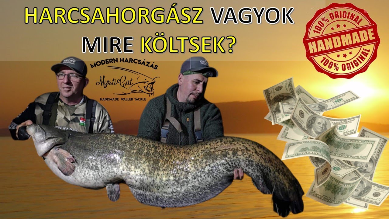Harcsahorgász vagyok, mire költsek? Harcsázó felszerelések. (Mysticat Team Modern Harcsazás).