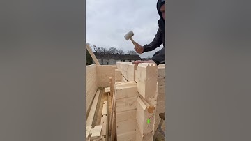 Log cabin building #buildingalogcabin #cabinbuilding #logcabin #cabin