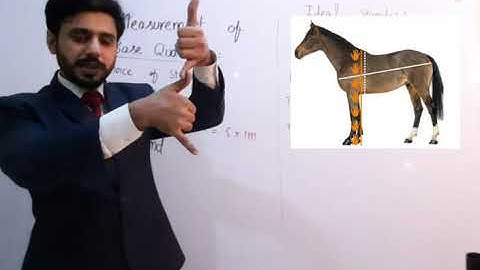 Measurement of Base quantities, ideal standard