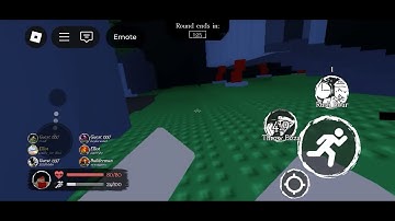 I have this camera glitch for a few weeks now and I think it