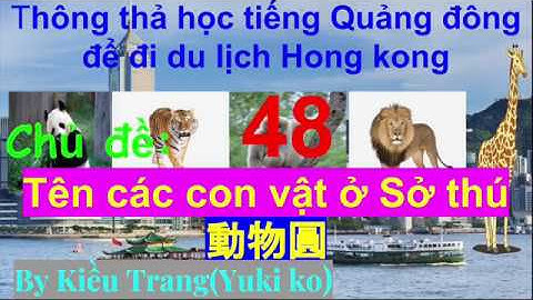 Thông thả học tiếng Quảng Đông 48