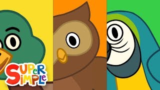 Turn & Learn ABCs - BIRDS!