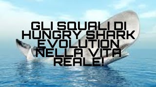 GLI SQUALI DI HUNGRY SHARK EVOLUTION NELLA VITA REALE! screenshot 4