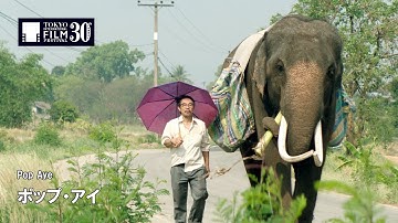 『ポップ・アイ』予告編 | Pop Aye - Trailer