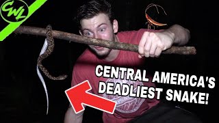 CENTRAL AMERICA'S DEADLIEST SNAKE!!!