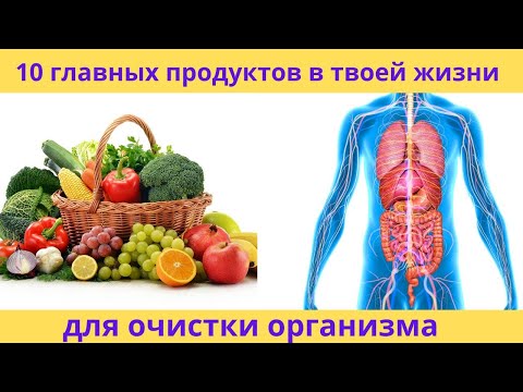 10 главных  продуктов для очищения организма