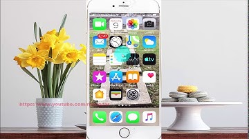 How to enable or disable twitter Personalization and data on iPhone 6