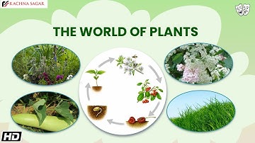 The World of Plants | Educational Videos For Kids | Rachna Sagar