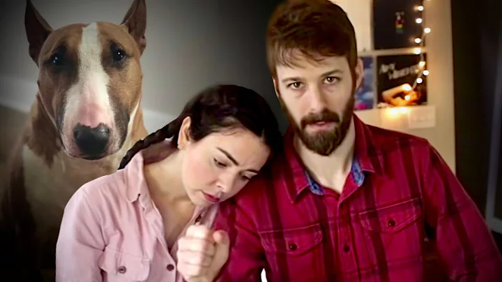 Youtubers Nikki and Dan Phillippi Take Their Dog's Life Over This...