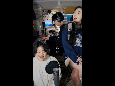 【高音男子と低音女子】カブトムシ / aiko ( Cover By るーか feat.寧音 )