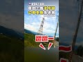 交通事故引發關注