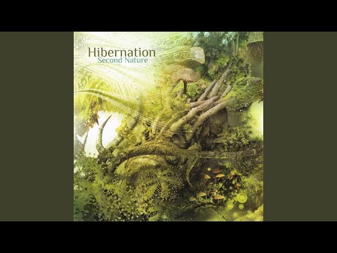 Hibernation — Catch a Glimpse