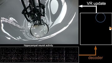 Volitional activation of remote place representations with a hippocampal BMI (Part 3)