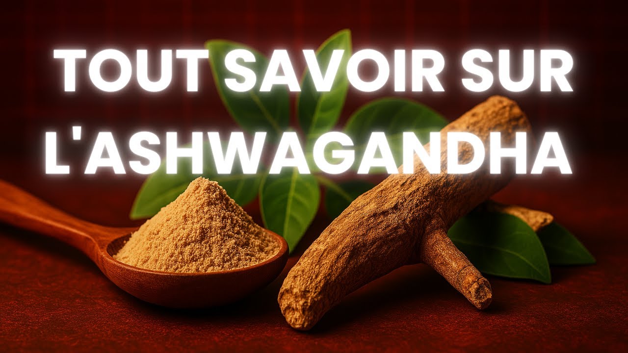 Qu'est-ce que c'est que l'ASHWAGANDHA ?