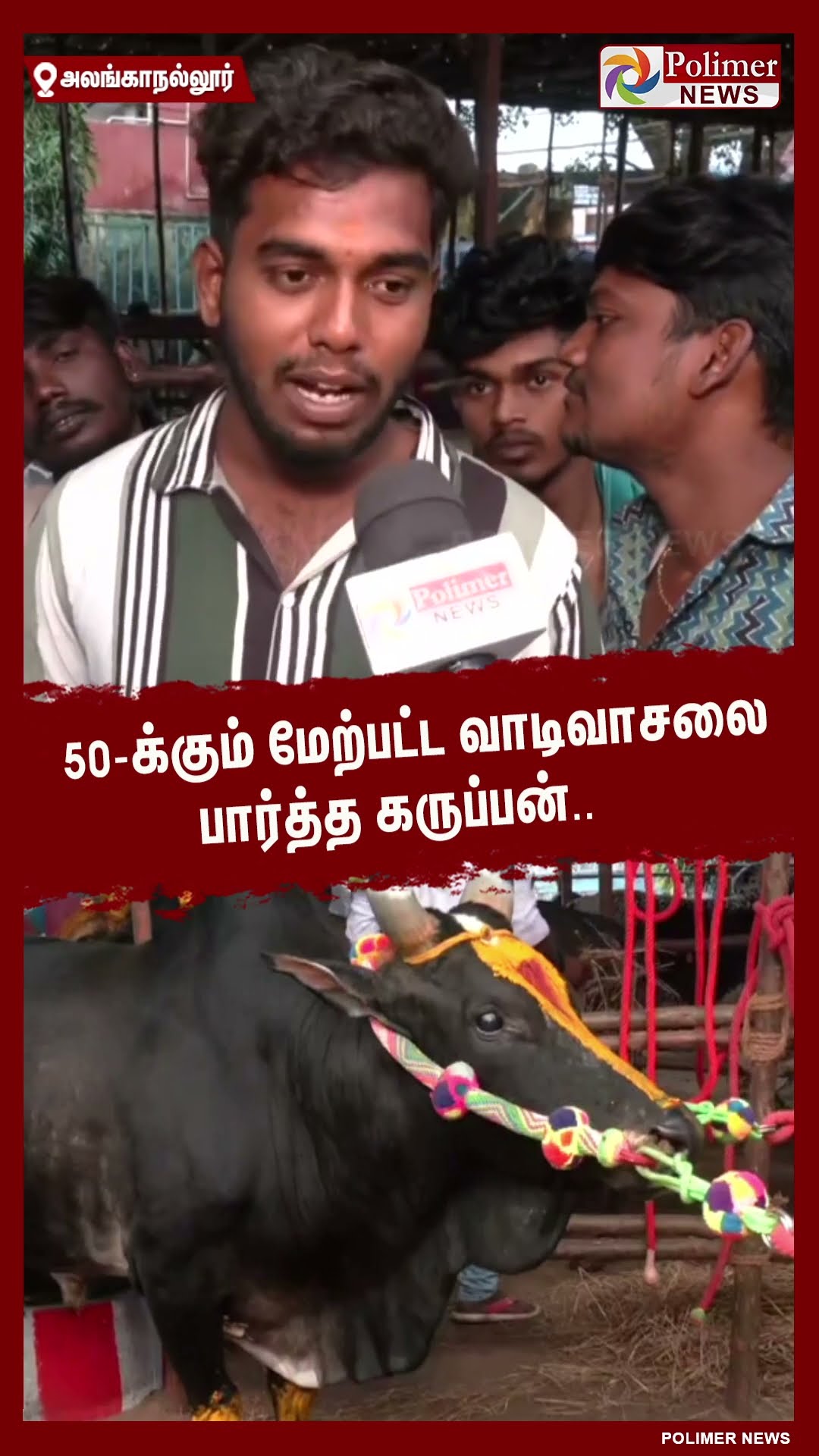 50க்கும் மேற்பட்ட வாடிவாசலை பார்த்த கருப்பன்..  #shorts | #alanganallurjallikattu