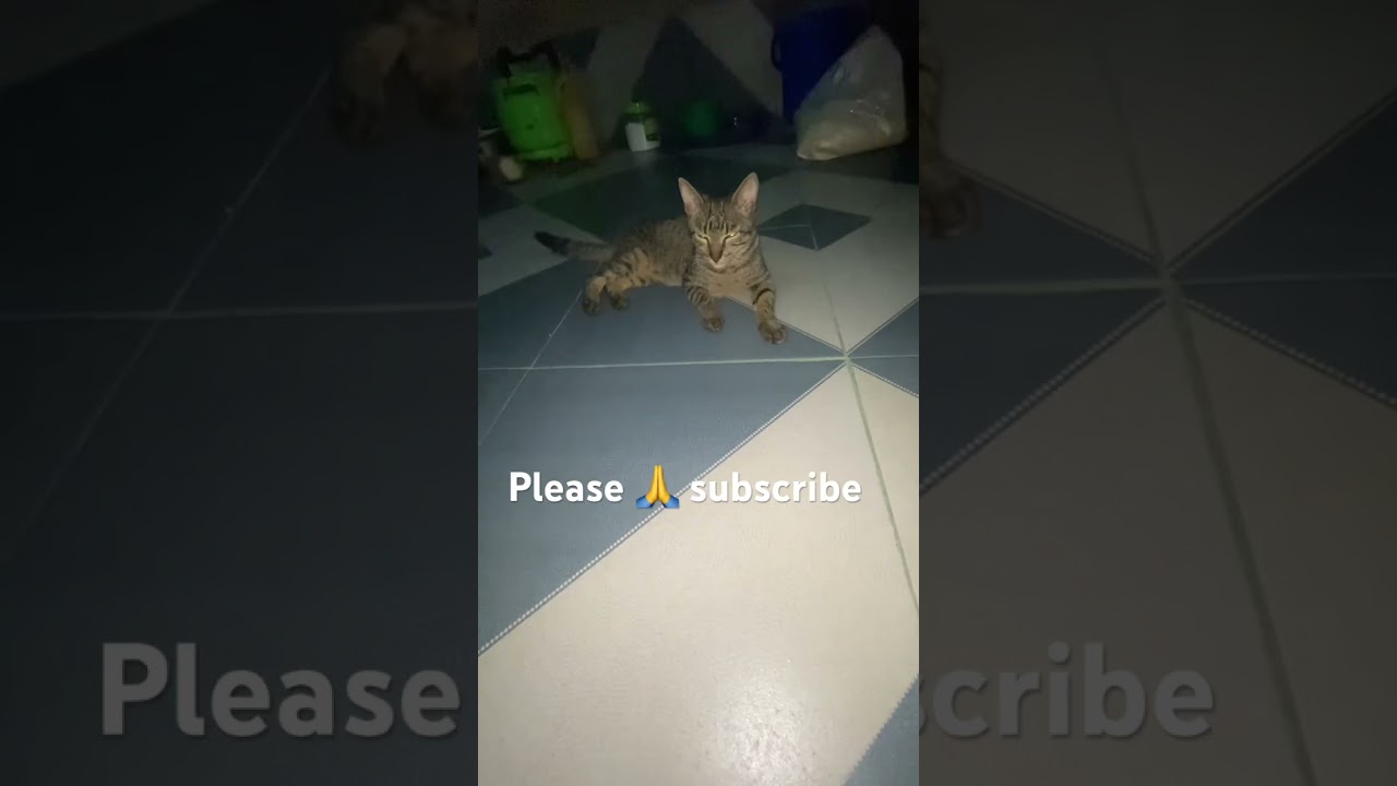 Please subscribe to my YouTube channel 