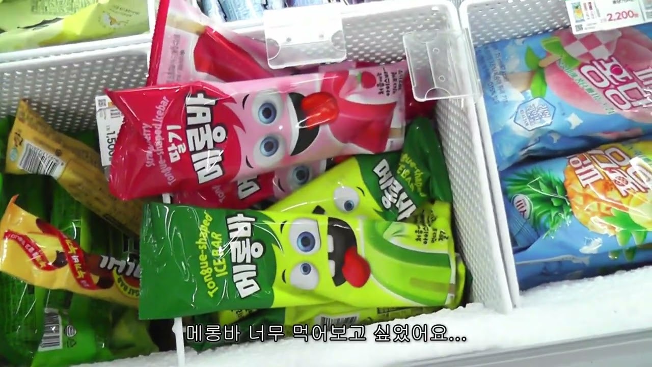 빙하기가 오기전에 많이 놀자